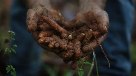 Inflación en América Latina por qué es la región del mundo con los precios de los alimentos más