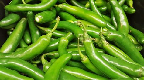 Chile Serrano Origen Cultivo Beneficios Y Propiedades Variedades