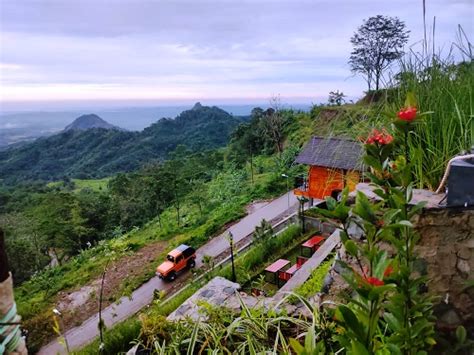 Saung Koffie Hideung Wisata Di Puncak Sempur