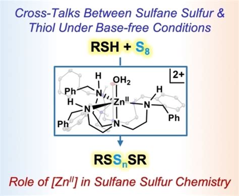 CrossTalks Between Sulfane Sulfur And Thiol At A Zinc II Site