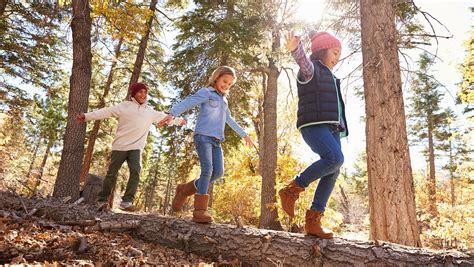 Ideen Ausflug Mit Kindern In Den Wald VILSA Magazin