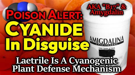 Cyanide In Disguise Toxicity Cyanogenic Nature Of Laetrile B