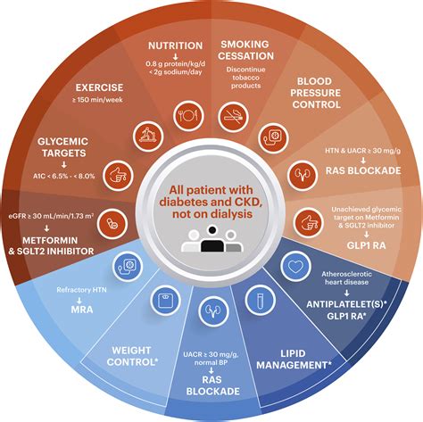 Kdoqi Us Commentary On The Kdigo 2020 Clinical Practice Guideline For