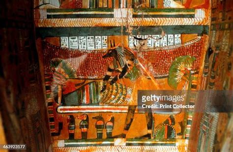 215 Egyptian Jackal Stock Photos, High-Res Pictures, and Images - Getty ...