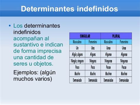 La Clase De Flor 5º De Primaria Lengua Ud 6 Los Determinantes