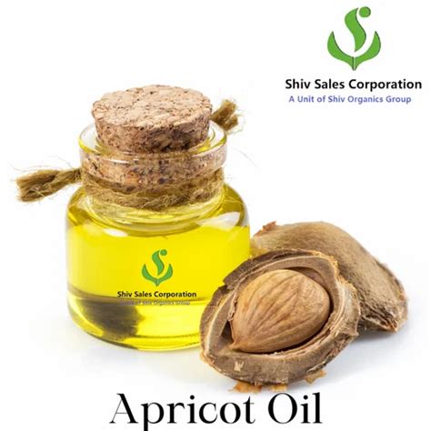 Cold Pressed Apricot Oil At Rs Kg Apricot Kernel Oil In New Delhi