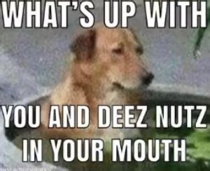 Pin By Katherin On Deez Nuts Jokes Deez Nuts Jokes Deez Nuts Deez