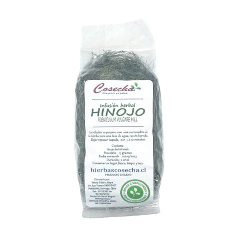 Hinojo Hojas Y Poco Tallo Hierbas Cosecha Gr Natural Wellness