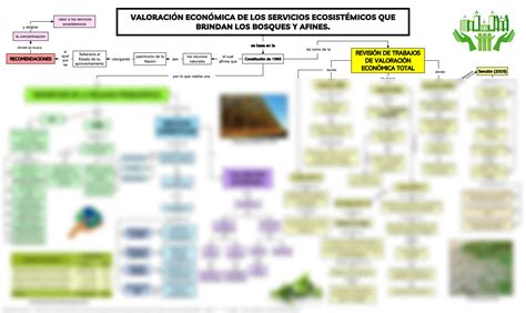 SOLUTION Valoraci N Econ Mica De Los Servicios Ecosist Micos Que