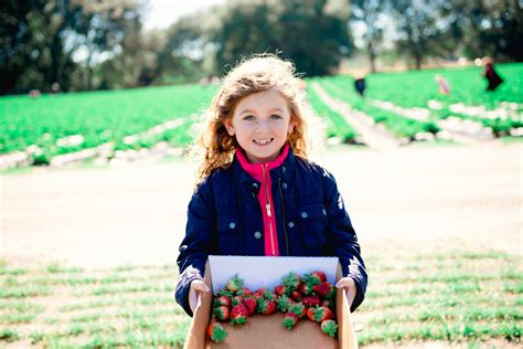 Visit a strawberry farm — Our Happy Tribe