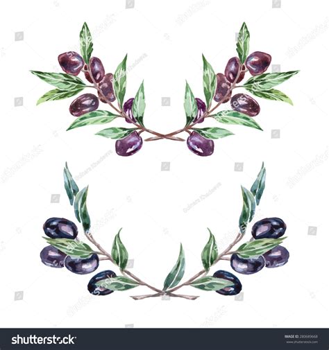 Watercolor Olive Branch Wreath Hand Drawn Stock Vector (Royalty Free ...