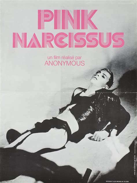 Pink Narcissus French Petite Poster Posteritati Movie Poster Gallery