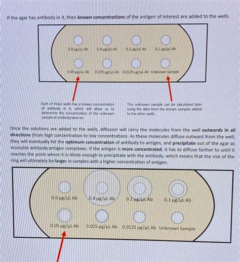 Solved Radial Immunodiffusion Otherwise Known As The Chegg