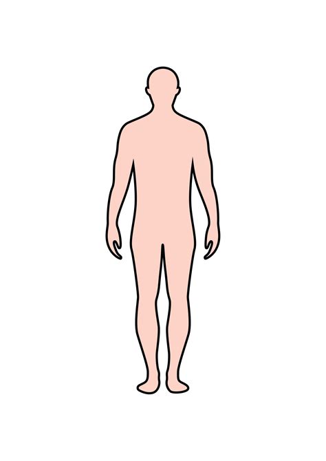 Human Outline