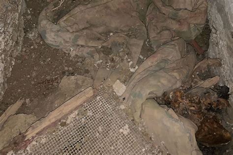 What happened to the human skeleton found at UC Berkeley? 