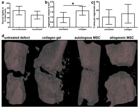 Ijms Free Full Text Autologous Mesenchymal Stroma Cells Are