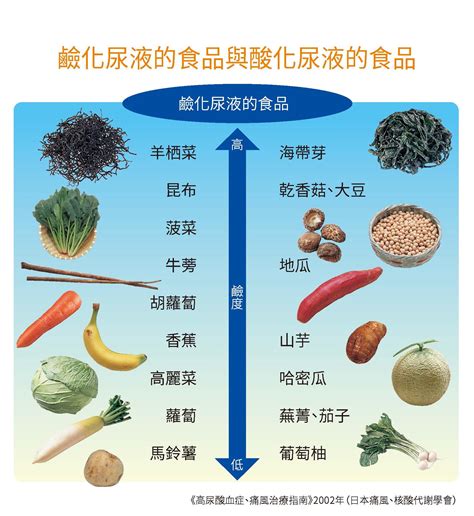 這些普林含量非常高！圖解無痛風飲食吃對不再發 媽媽經｜專屬於媽媽的網站