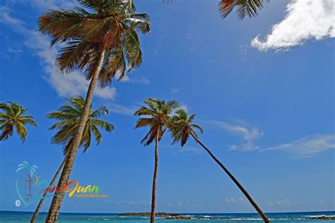 San Juan Puerto Rico Weather Guide