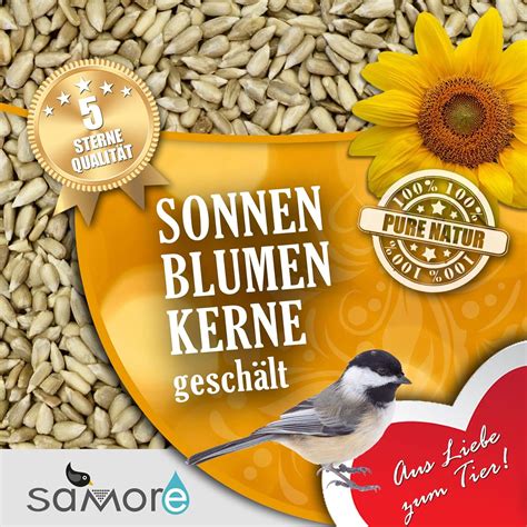 Sonnenblumenkerne geschält 10 kg Vogelfutter für Wildvögel Amazon de