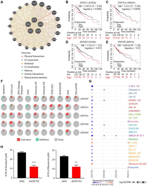 ZNF765 Is A Prognostic Biomarker Of Hepatocellular Carcinoma Associated