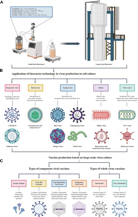 Frontiers Application Of Bioreactor Technology For Cell Culture Based