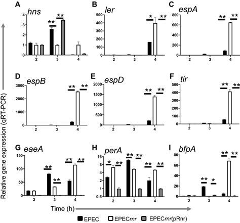 Validation Of Rnr Regulated Genes By Qrt Pcr Epec E Black