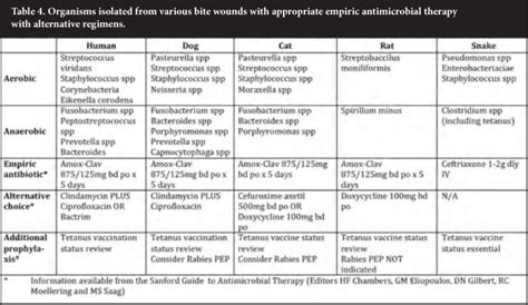 Biting Off More Than You Can Chew Microbiological Flora Isolated From