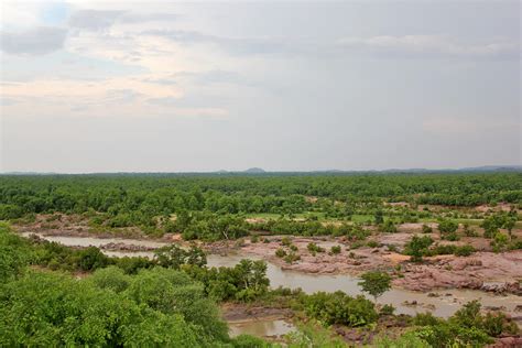 Orchha Wildlife Sanctuary, Orchha: How To Reach, Best Time & Tips