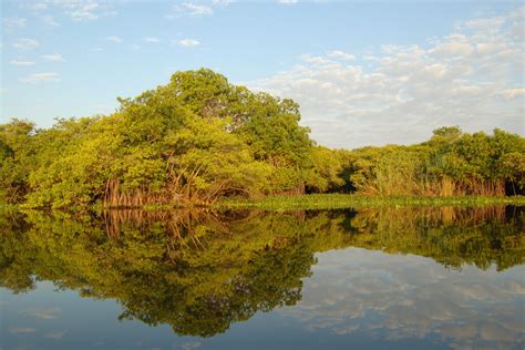 Como Aparecen Las Lagunas Colombia Verde