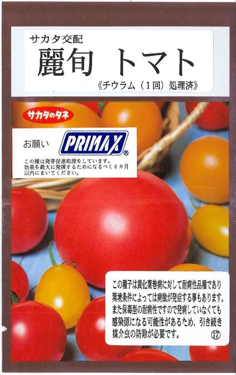 送料無料 トマト大玉トマト 麗旬 100粒（10増量） 株サカタのタネ野菜種大玉トマト・桃太郎系・中玉トマト・ミニトマト