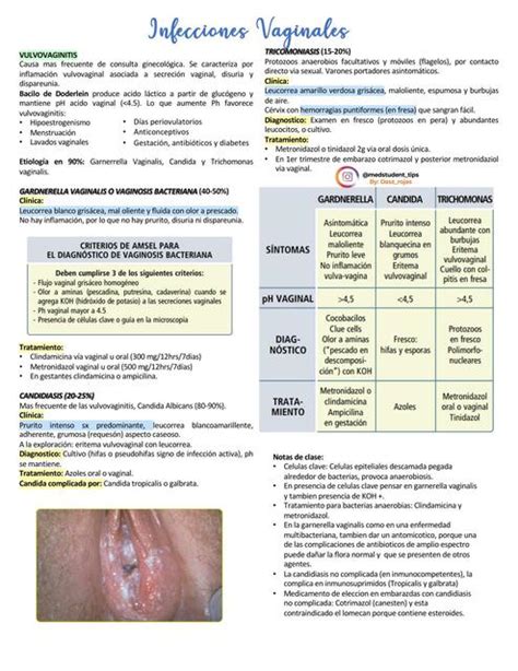 Infecciones Vaginales Gine Clase 7 Dasz Rojas UDocz