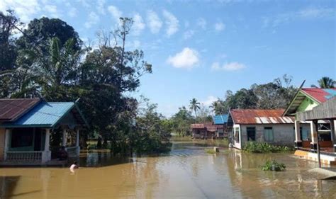 Curah Hujan Tinggi Rendam Beberapa Desa Kalteng Today