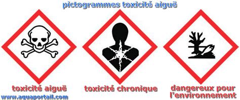 Toxicit Aigu D Finition Et Explications