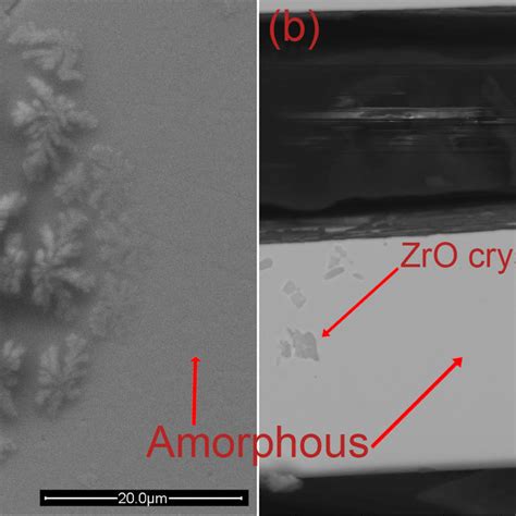 Sem Images Showing An Amorphous Matrix And Some Crystalline Phases Download Scientific Diagram