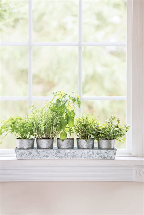 Galvanized Windowsill Herb Planters Tray Gardeners