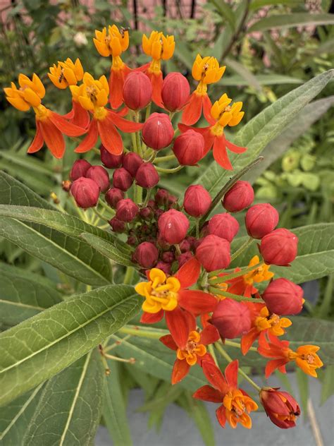 The Daily Journal Vineland: Historical News Records and Archives 40