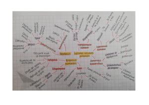 Practica N Medidas De Impacto Facultad De Ciencias De La Salud