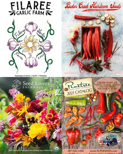 The Best Garden Seed Catalogs for 2021 (My Favorite Sources!) in 2021 ...