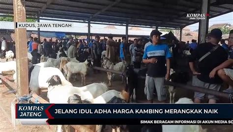 Jelang Idul Adha Harga Kambing Merangkak Naik Video Dailymotion