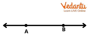 Intersecting Lines - Definition, Properties, and Examples