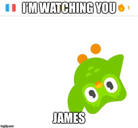 Duolingo Bird Is Watching Imgflip