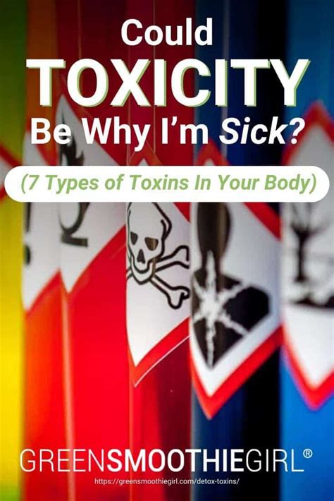 Could Toxicity Be Why I'm Sick? (7 Types of Toxins In Your Body) - GreenSmoothieGirl