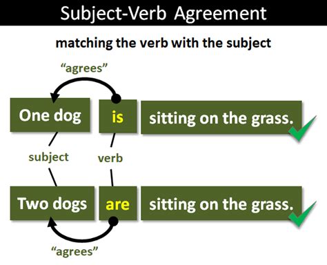 Subject Verb Agreement Mind Map