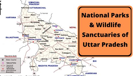 Complete List Of National Parks And Wildlife Sanctuaries Of Uttar Pradesh