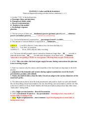 Station Labor And Birth Worksheet Docx Station Labor And Birth