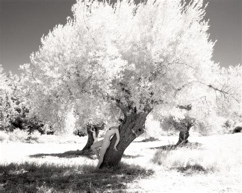 R Fine Art Nude Photo From Original Negative X Artistic Risque
