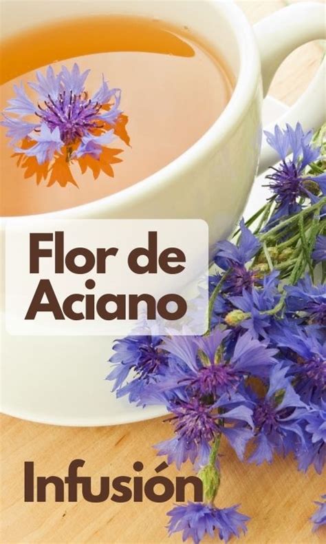 Flor De Aciano Flores Para Comer