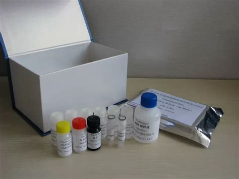 Mouse Tumor necrosis factor α TNF α ELISA Kit