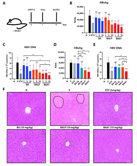 Anti Hbv Efficacy Of Different Baicalin Preparations In Vivo A B C