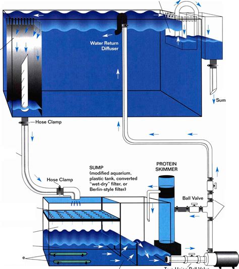 Aquarium Overflow Plumbing Diagram